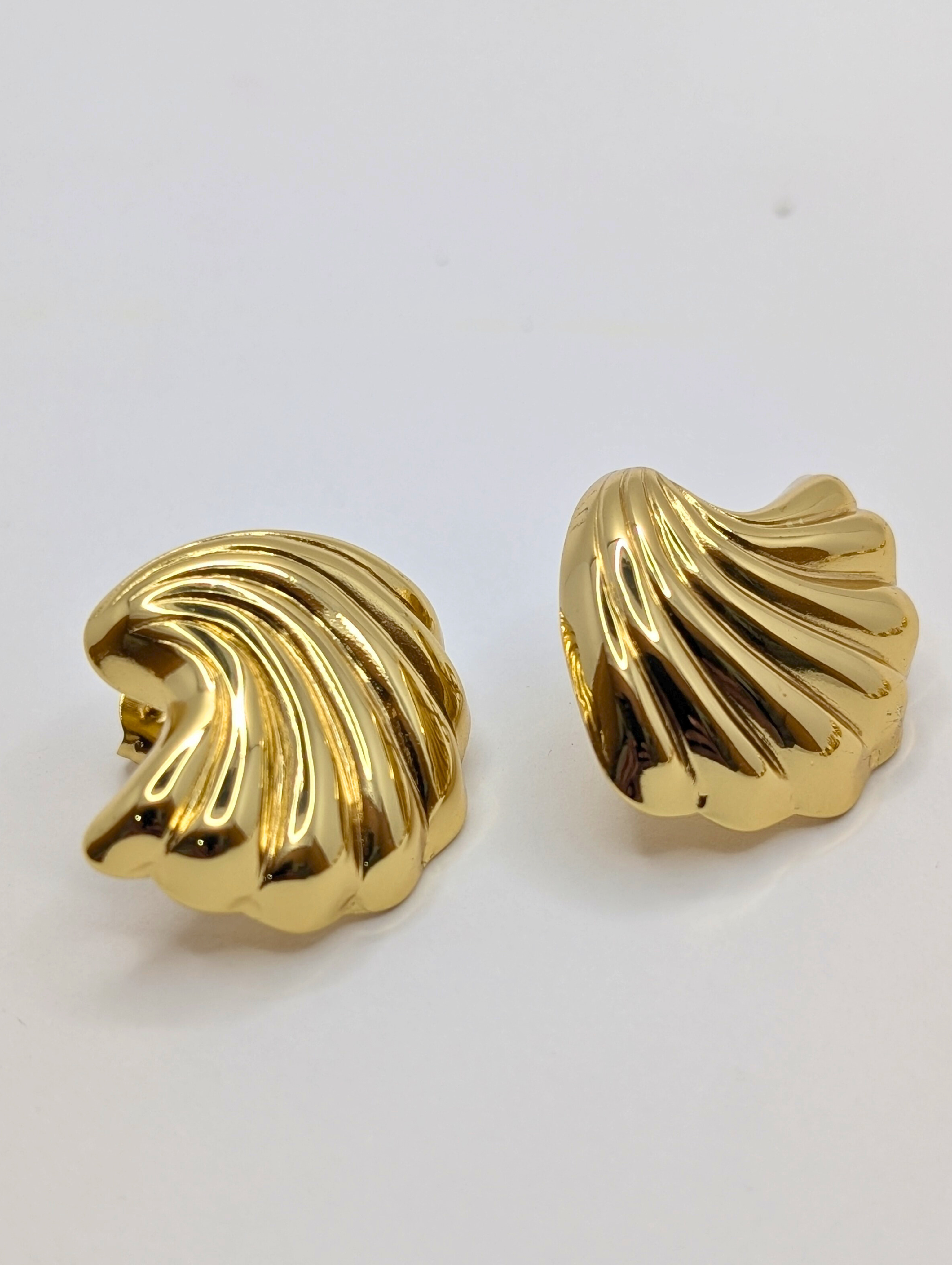 Shell Earrings